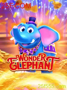 WonderElephant: A Fascinante Jornada pelo Mundo de 25F.COM